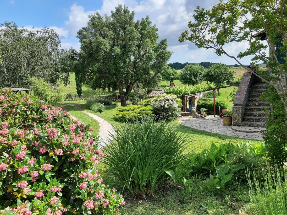 Agriturismo Cantinaccia Di Sopra 피틸리아노 외부 사진