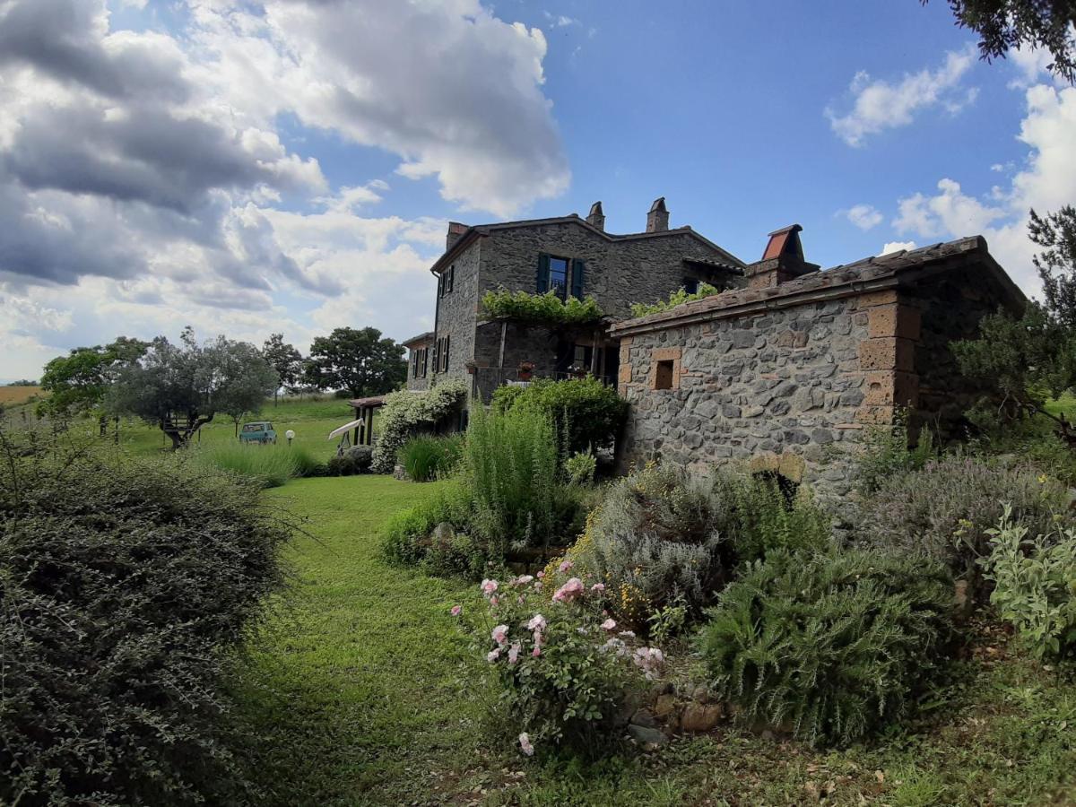 Agriturismo Cantinaccia Di Sopra 피틸리아노 외부 사진