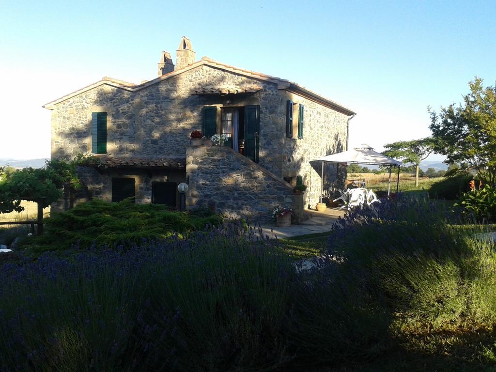 Agriturismo Cantinaccia Di Sopra 피틸리아노 외부 사진